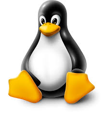 Linux System Programming ( Linux Internals)